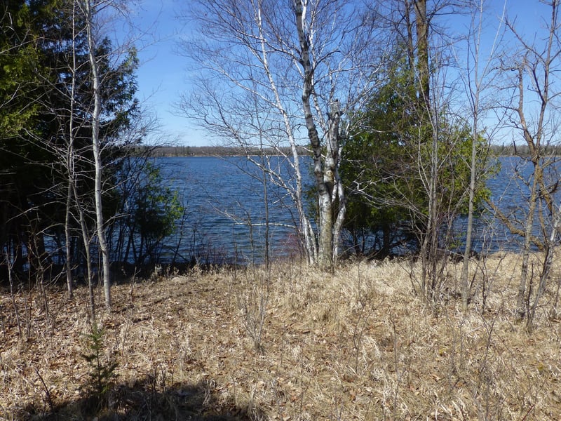 Timberwolf Rd NE, Pennington, MN 56663