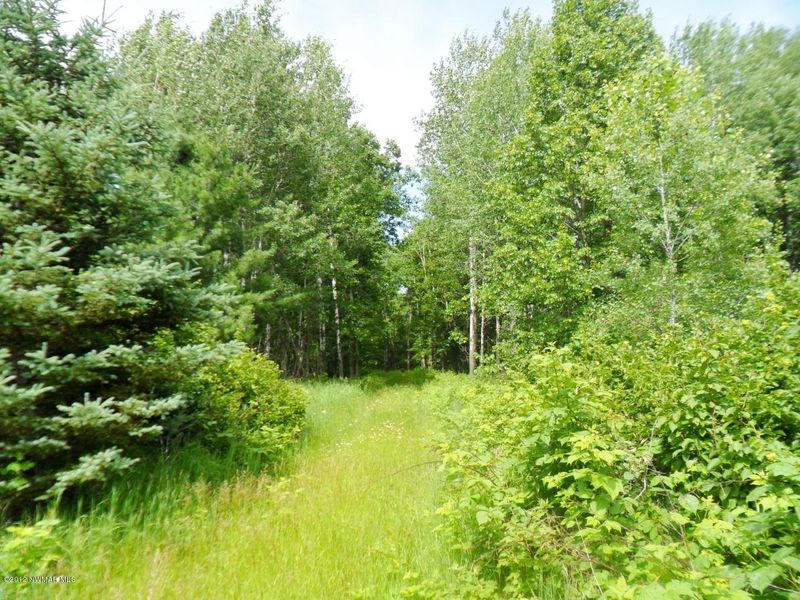 Stump Lake Dr NE, Bemidji, MN 56601