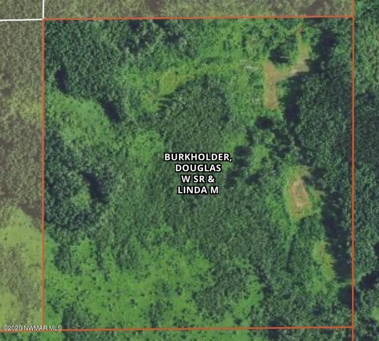 TBD Mn 64 Hw, Backus, MN 56435