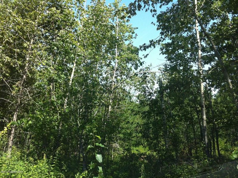 TBD Royal Estates Rd NE, Bemidji, MN 56601