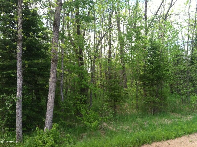 Sand Valley Rd SW, Bemidji, MN 56601