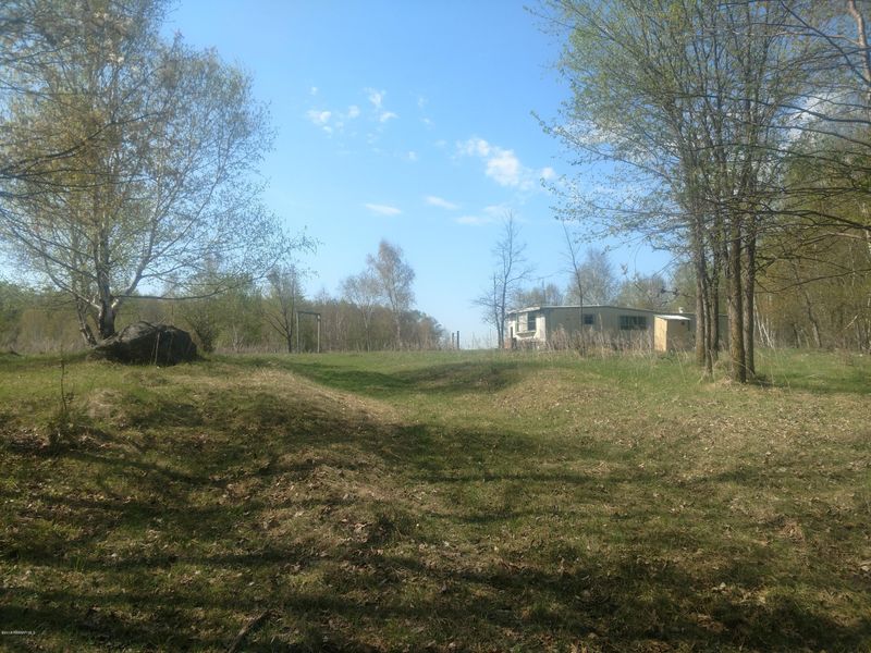 42388 County 23 Rd, Leonard, MN 56676