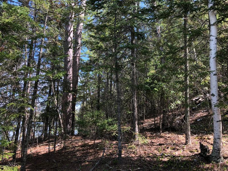 TBD Lorelei Ln NE, Bemidji, MN 56601