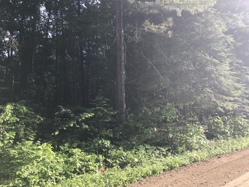 TBD Wilkey Loop Rd, Bemidji, MN 56601