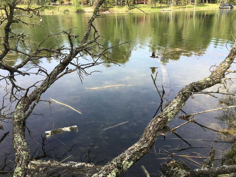 TBD Kingfisher Ln NE Lot 3, Bemidji, MN 56601