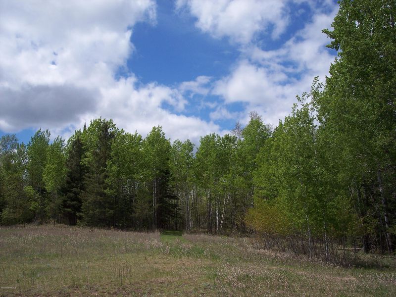 TBD SW Bootleg Lake Rd, Bemidji, MN 56601