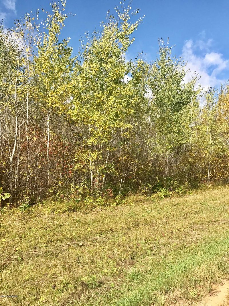 TBD Oman Rd, Bemidji, MN 56601