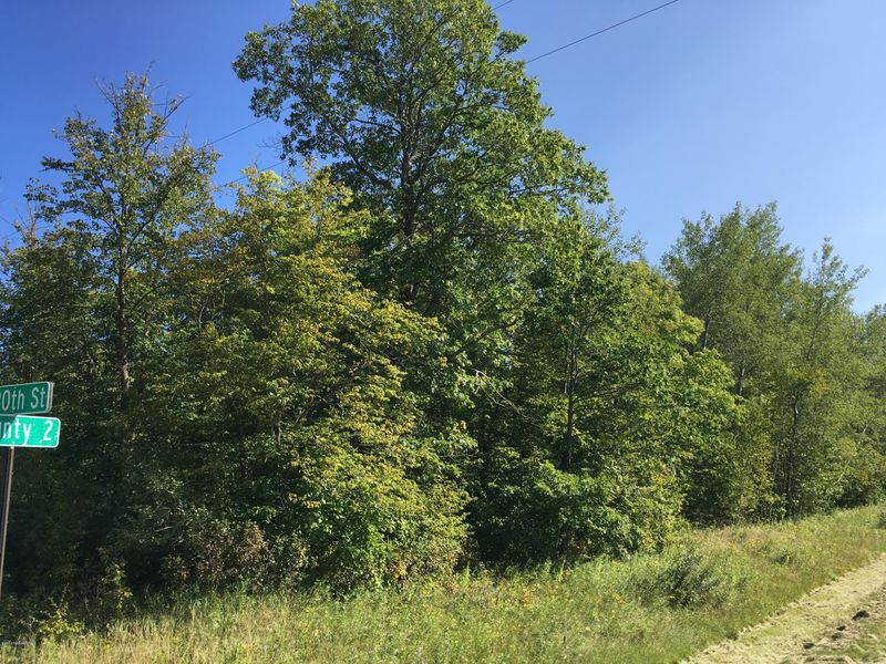 27604 TBD County 2 Rd, Shevlin, MN 56676