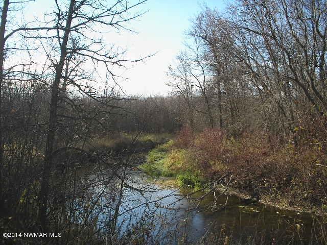 39483 County 8 Rd, Wannaska, MN 56761