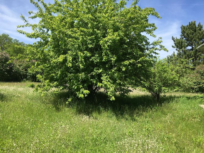 39232 Old Oak Tree Dr SW, Laporte, MN 56461