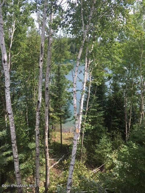 18832 Heart Lake Rd, Shevlin, MN 56676