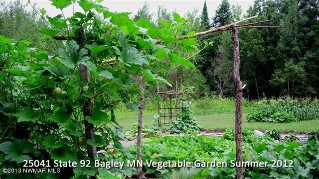 25041 State 92 Hw, Bagley, MN 56621