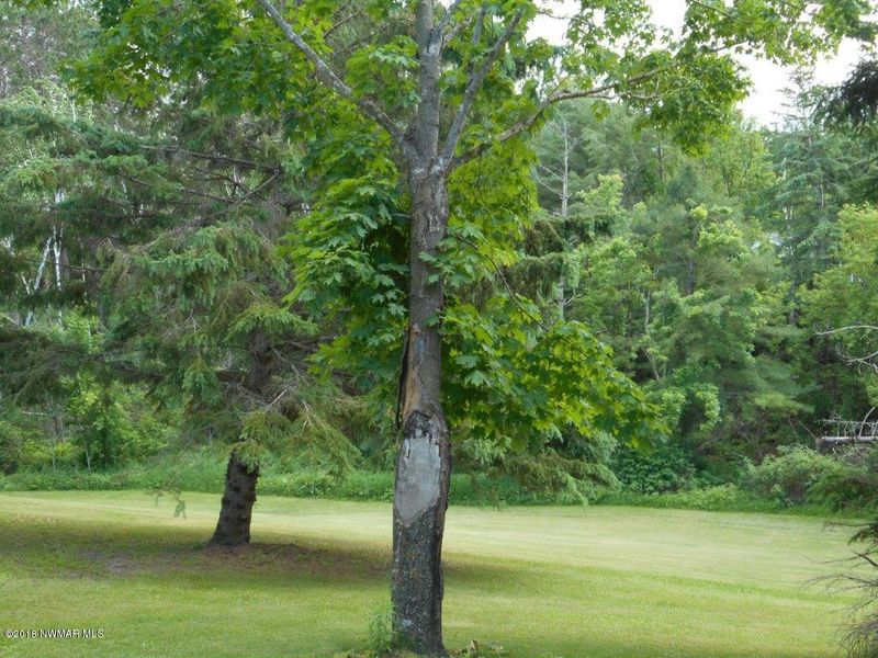 17749 N Oak Ln, Bagley, MN 56621