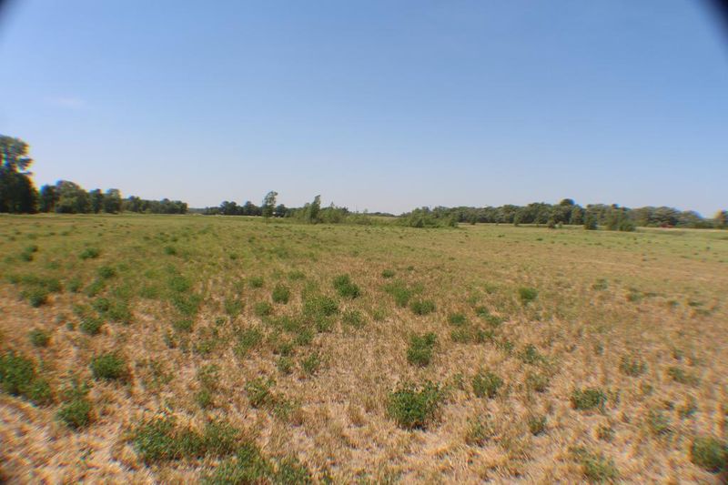 XX 230th St, Rockville, MN 56369