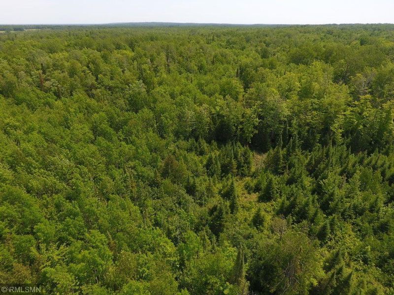 915X E Middle River Rd, Poplar, WI 54864