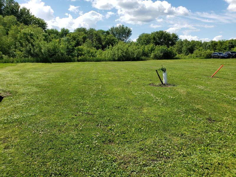 XXX 14th St NW, Waseca, MN 56093