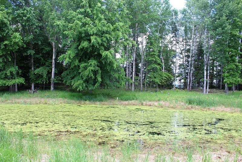 51536 Pine Point Trl, Bigfork, MN 56628