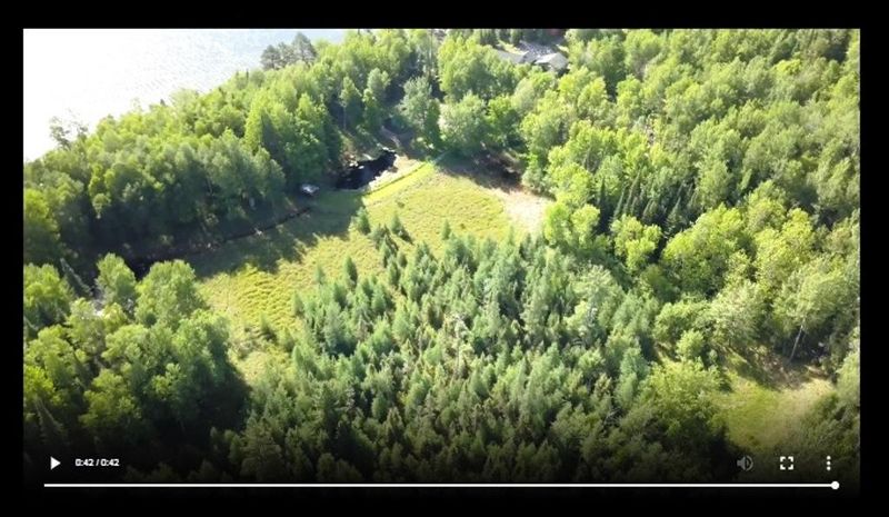 51536 Pine Point Trl, Bigfork, MN 56628