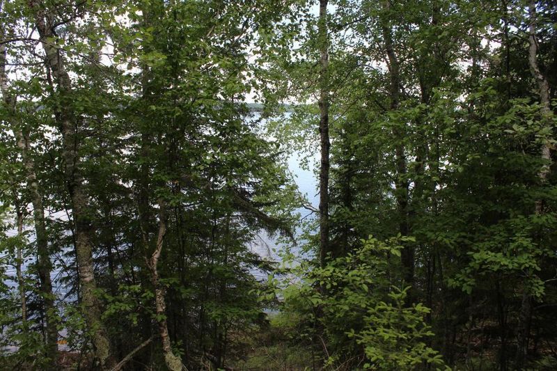 51536 Pine Point Trl, Bigfork, MN 56628