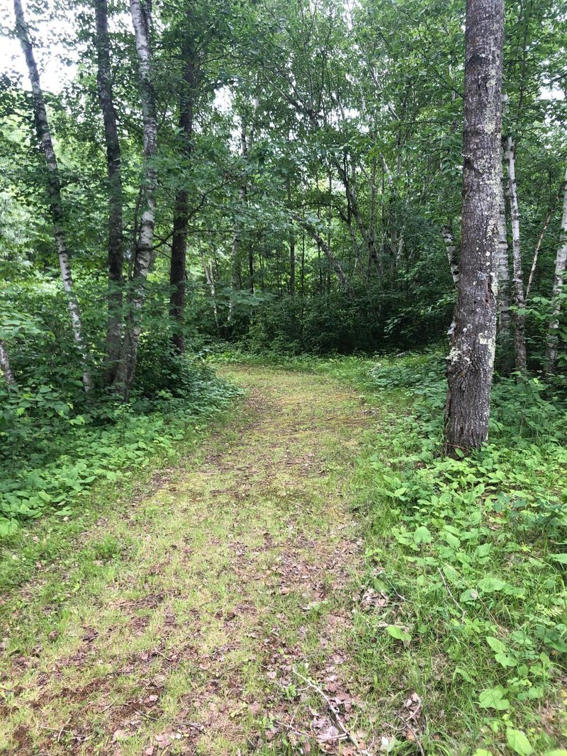 000 E Ham Lake Dr, Akeley, MN 56433