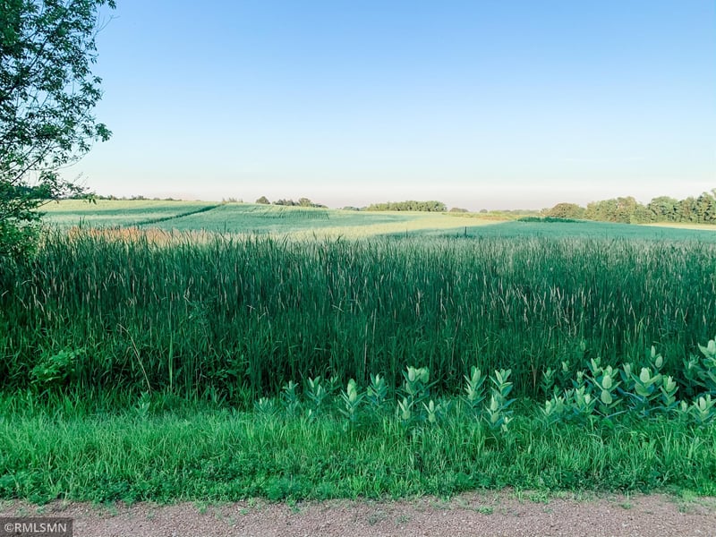 6730 Rolling Hills Rd, Hamel, MN 55340