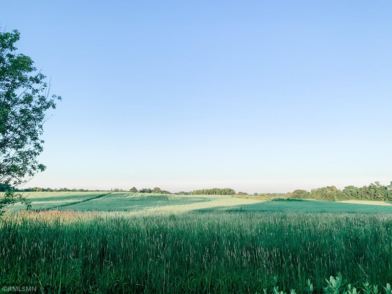 6730 Rolling Hills Rd, Hamel, MN 55340