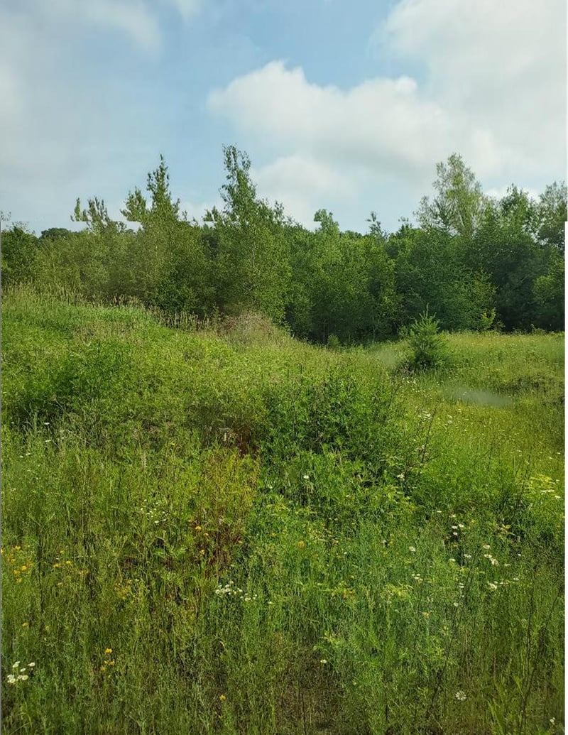 00 County Line Rd, Weyerhaeuser, WI 54895