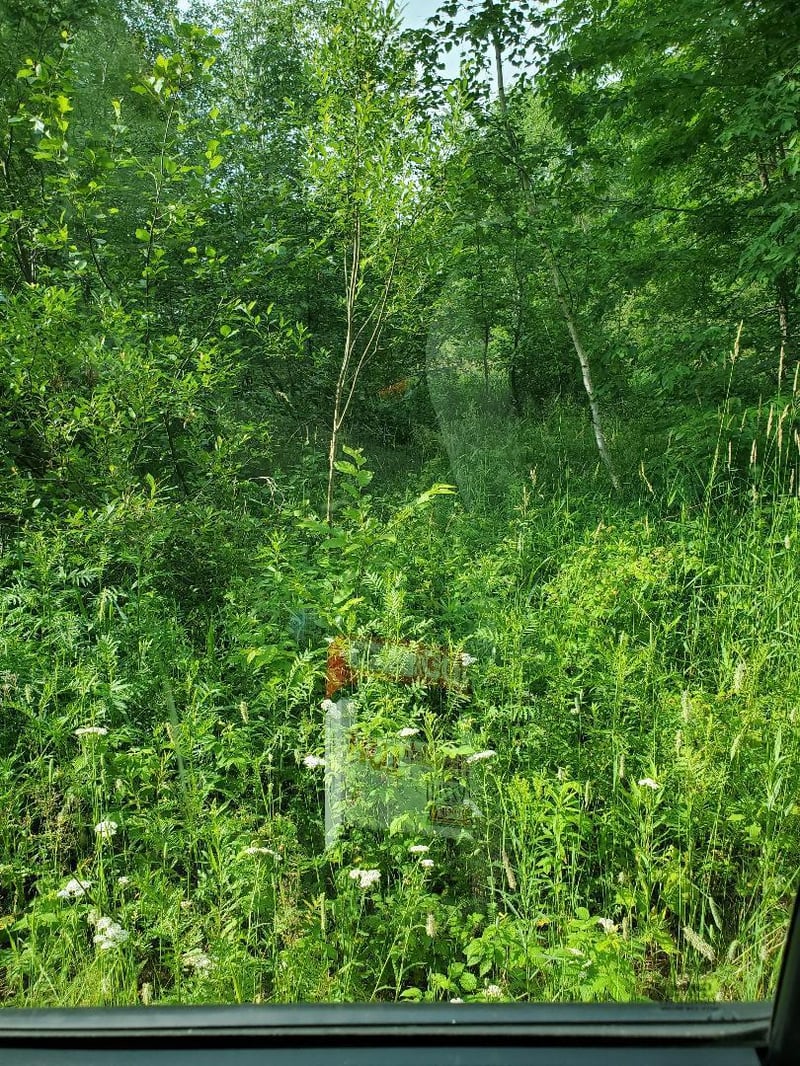 00 County Line Rd, Weyerhaeuser, WI 54895
