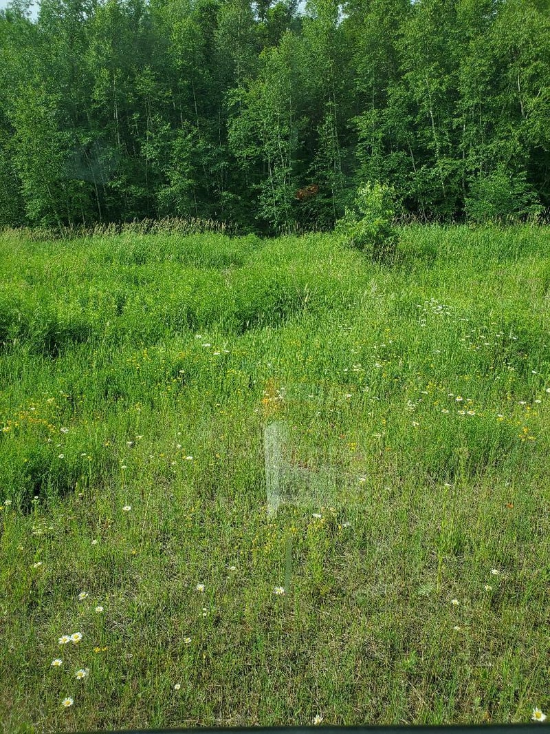 00 County Line Rd, Weyerhaeuser, WI 54895