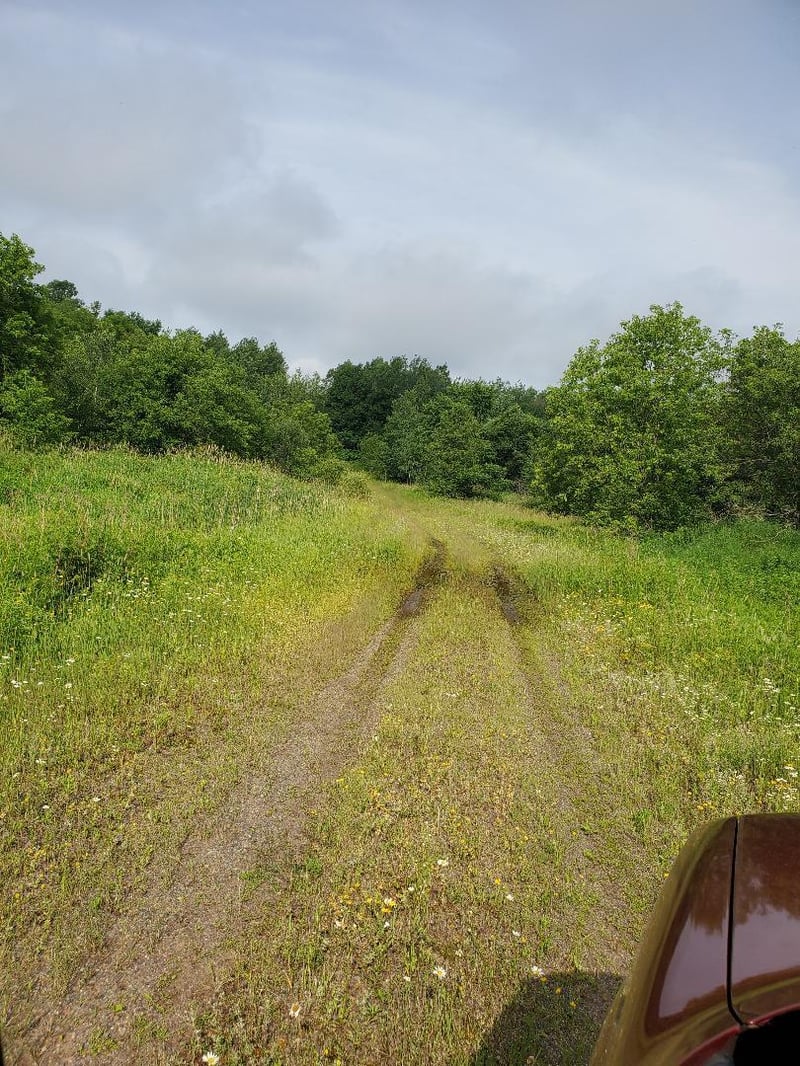 00 County Line Rd, Weyerhaeuser, WI 54895