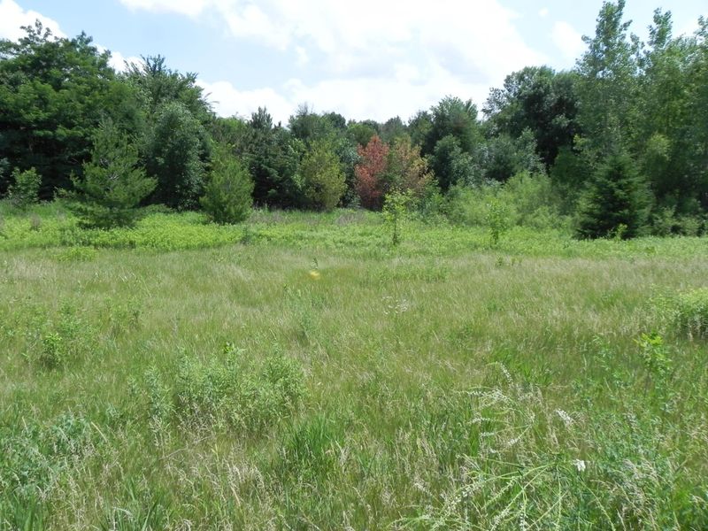 3482 Circle Bluff Ct, Faribault, MN 55021