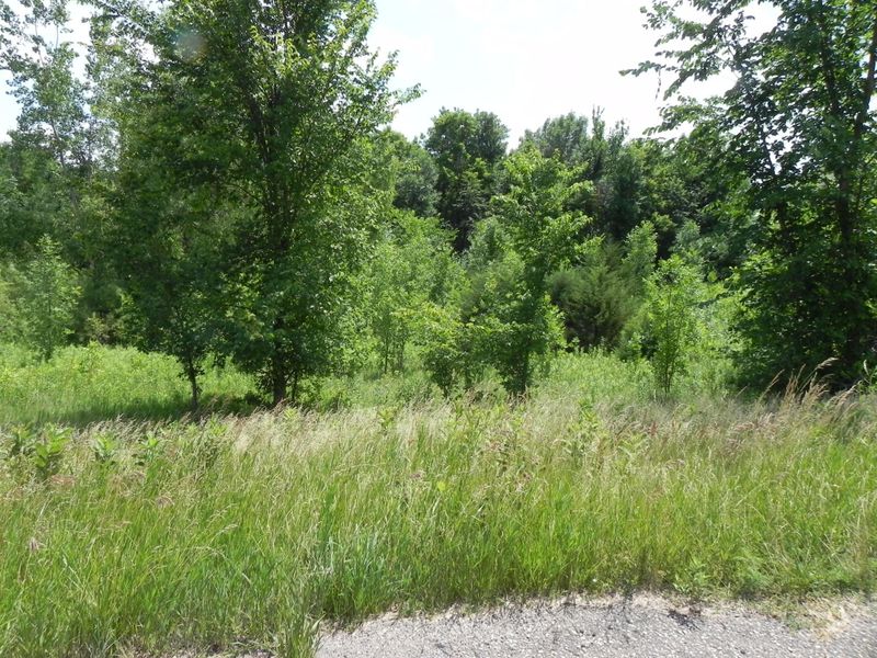 3482 Circle Bluff Ct, Faribault, MN 55021