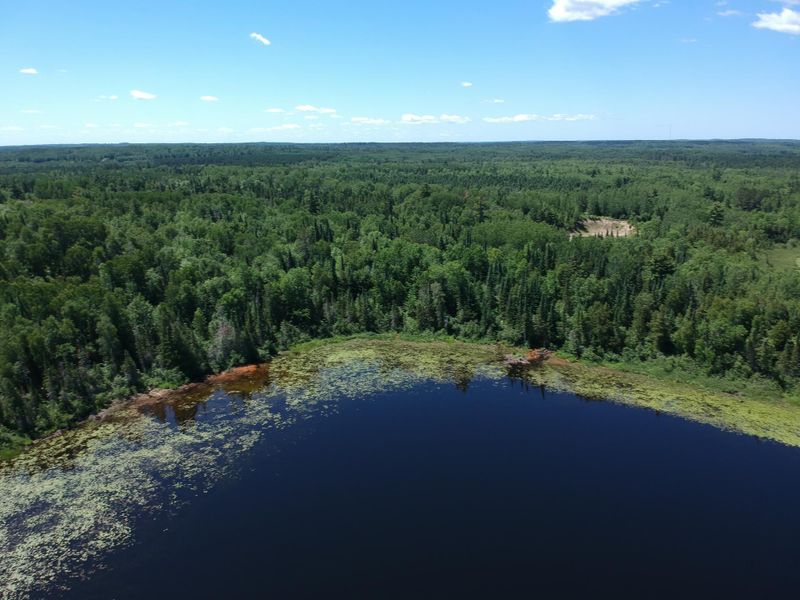 TBD S Pickerel Rd, Effie, MN 56639