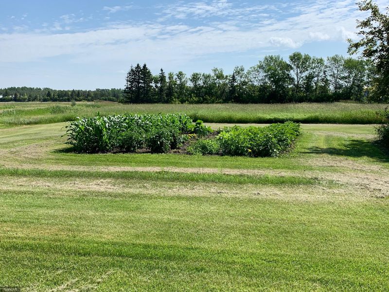 39386 215th St, Roseau, MN 56751