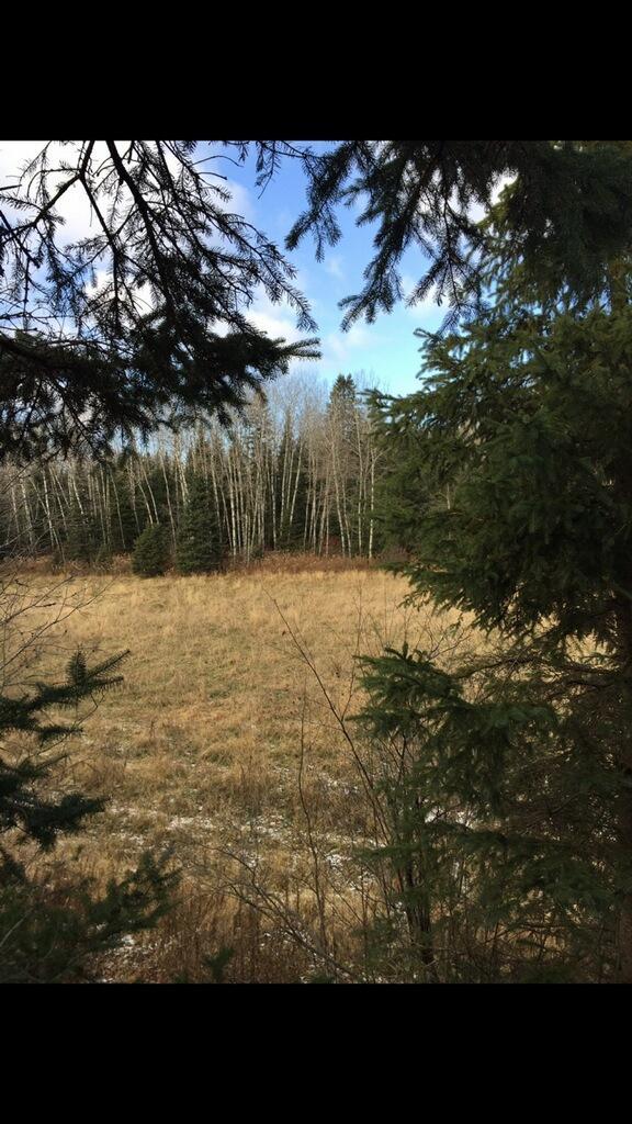 11830W Sheptick Rd, Couderay, WI 54828