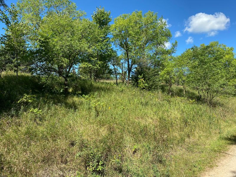 XXX Moore St, Starbuck, MN 56381