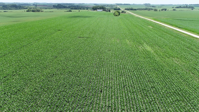 XXXX Hwy 30, Hayfield, MN 55940