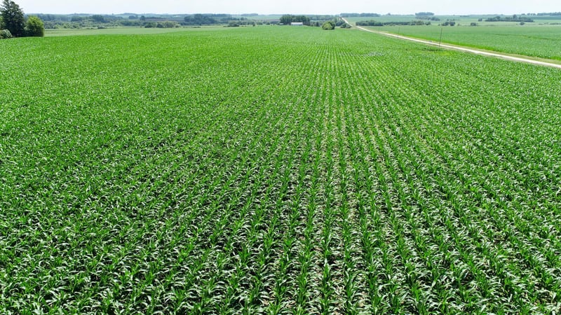 XXXX Hwy 30, Hayfield, MN 55940
