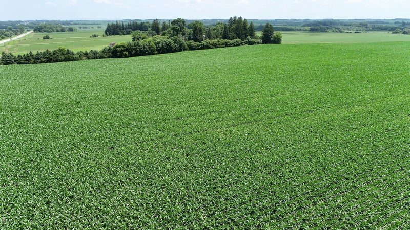 XXXX Hwy 30, Hayfield, MN 55940