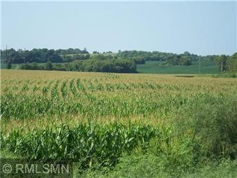 TBD 5th St SW, Pine Island, MN 55963