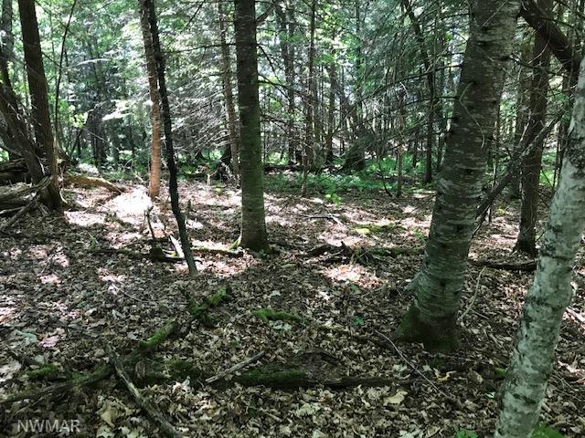 Lot 12 Blk1 New Melahn Dr, Lake George, MN 56458