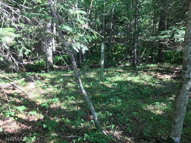 Lot 12 Blk1 New Melahn Dr, Lake George, MN 56458