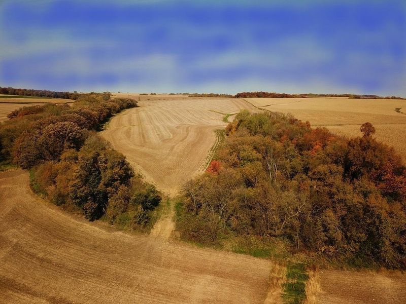 TBD24 County 117, Wykoff, MN 55990