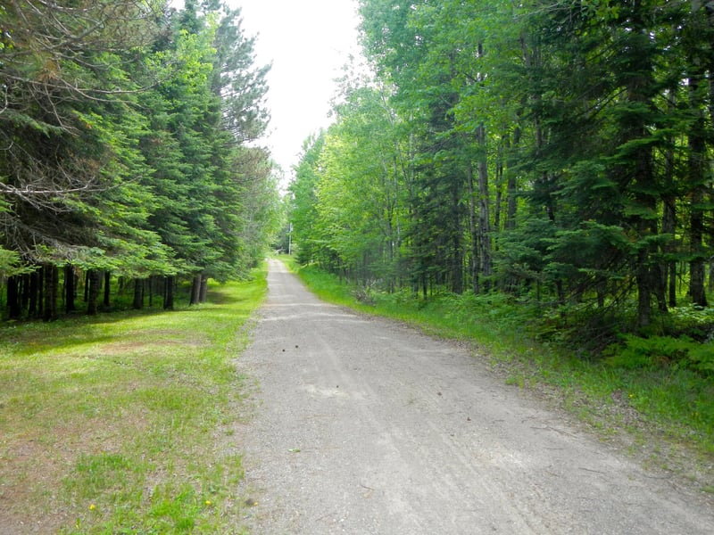 2880 Deer Forest Rd, Makinen, MN 55763