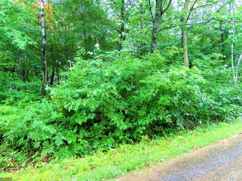 xxx Drake Dr, Onamia, MN 56450