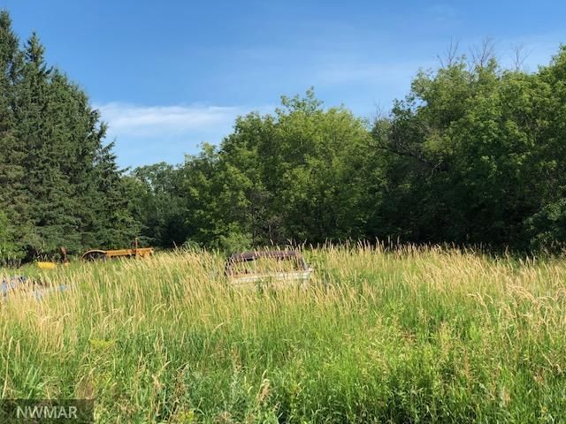 TBD 4th Ave W, Viking, MN 56760
