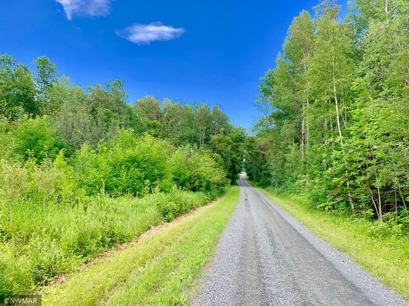 Tract E Ut Road 140, Birchdale, MN 56629