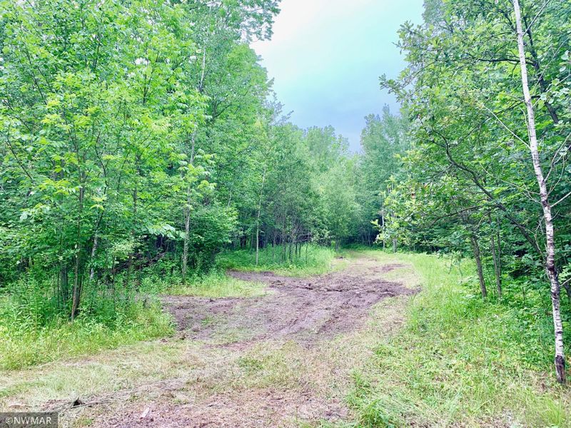 Tract E Ut Road 140, Birchdale, MN 56629