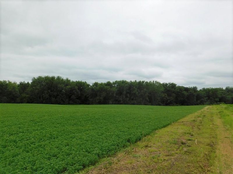 W25051 Us Highway 10, Eleva, WI 54738