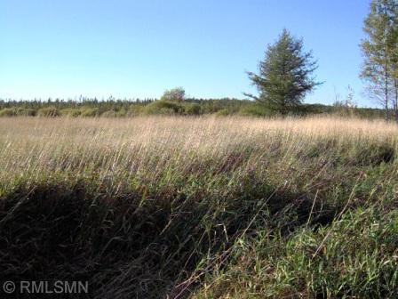 TBD Kestrel, Tamarack, MN 55787